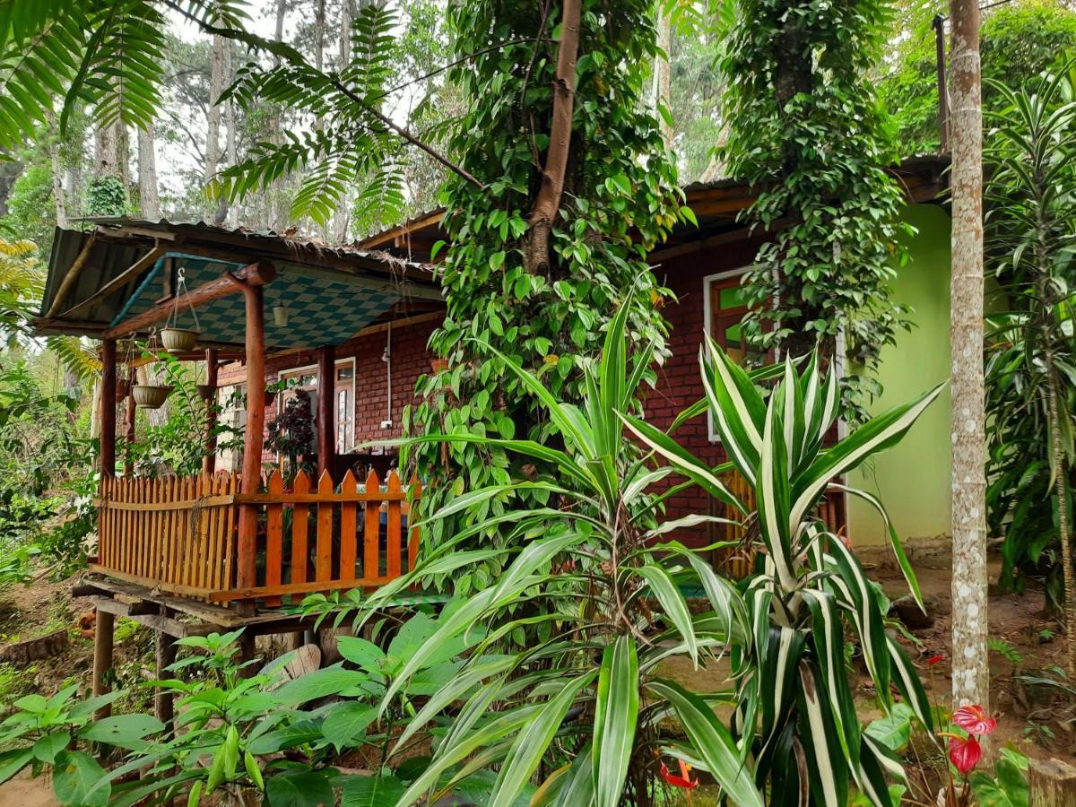 Green Heaven Lodge Ella Extérieur photo