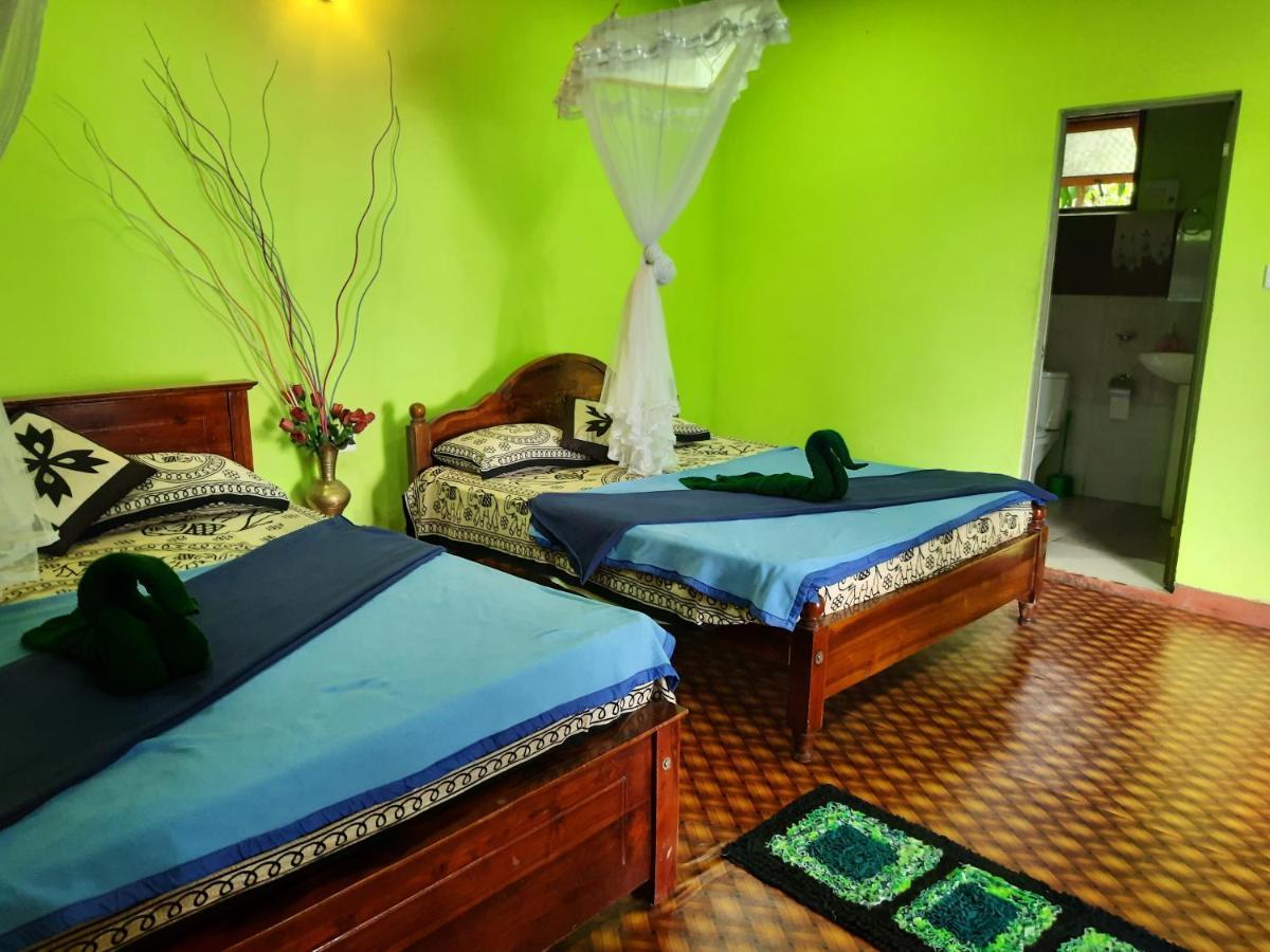 Green Heaven Lodge Ella Extérieur photo