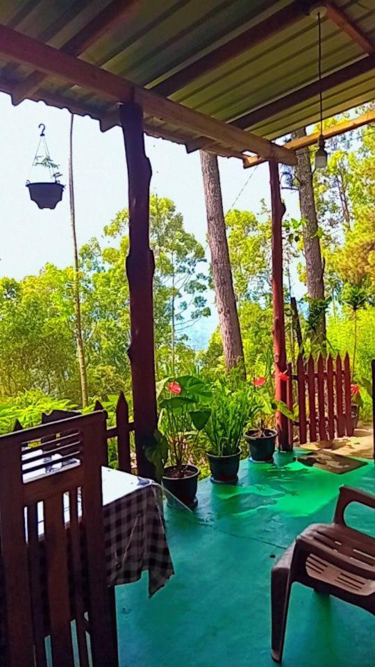 Green Heaven Lodge Ella Extérieur photo